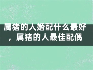 属猪的人婚配什么最好，属猪的人最佳配偶
