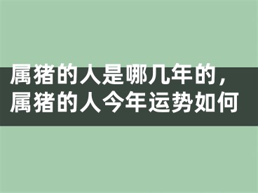 属猪的人是哪几年的，属猪的人今年运势如何