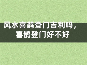 风水喜鹊登门吉利吗，喜鹊登门好不好