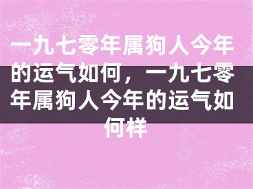 一九七零年属狗人今年的运气如何，一九七零年属狗人今年的运气如何样