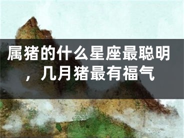 属猪的什么星座最聪明,几月猪最有福气