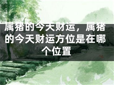 属猪的今天财运，属猪的今天财运方位是在哪个位置