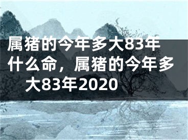 属猪的今年多大83年什么命，属猪的今年多大83年2020