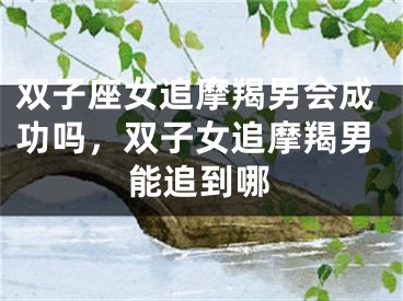 双子座女追摩羯男会成功吗，双子女追摩羯男能追到哪