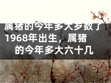 属猪的今年多大岁数了1968年出生，属猪的今年多大六十几