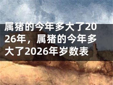 属猪的今年多大了2026年，属猪的今年多大了2026年岁数表