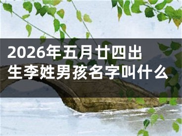 2026年五月廿四出生李姓男孩名字叫什么