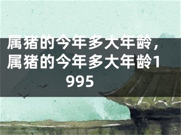 属猪的今年多大年龄，属猪的今年多大年龄1995