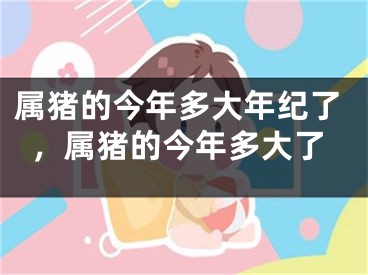 属猪的今年多大年纪了，属猪的今年多大了