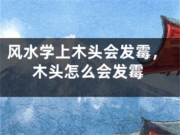 风水学上木头会发霉，木头怎么会发霉