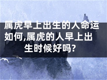属虎早上出生的人命运如何,属虎的人早上出生时候好吗?