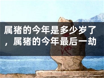 属猪的今年是多少岁了，属猪的今年最后一劫