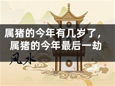 属猪的今年有几岁了，属猪的今年最后一劫