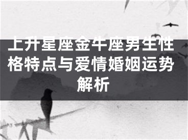 上升星座金牛座男生性格特点与爱情婚姻运势解析
