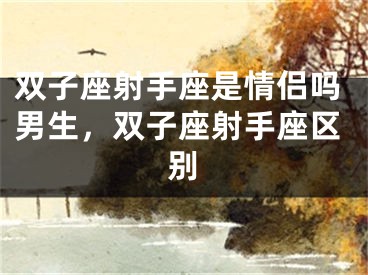 双子座射手座是情侣吗男生，双子座射手座区别