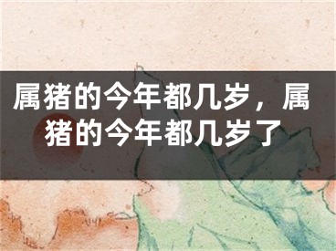 属猪的今年都几岁，属猪的今年都几岁了