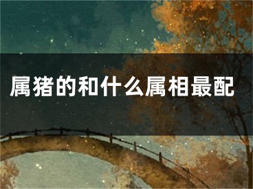 属猪的和什么属相最配