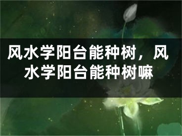 风水学阳台能种树，风水学阳台能种树嘛