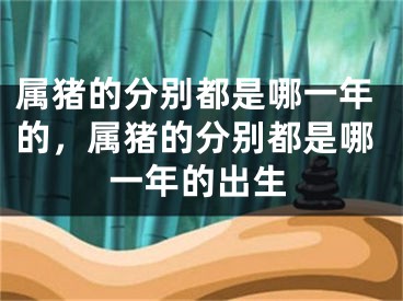 属猪的分别都是哪一年的，属猪的分别都是哪一年的出生