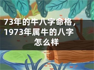 73年的牛八字命格，1973年属牛的八字怎么样
