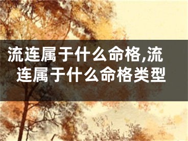 流连属于什么命格,流连属于什么命格类型
