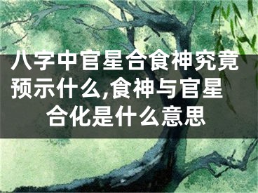 八字中官星合食神究竟预示什么,食神与官星合化是什么意思