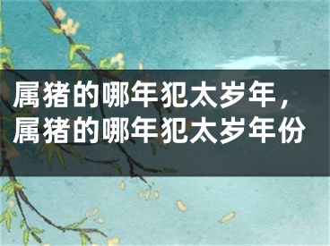 属猪的哪年犯太岁年，属猪的哪年犯太岁年份