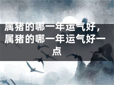 属猪的哪一年运气好，属猪的哪一年运气好一点