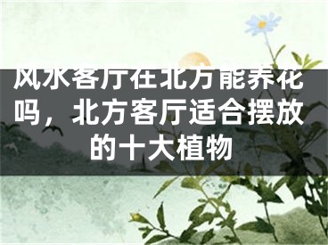 风水客厅在北方能养花吗，北方客厅适合摆放的十大植物