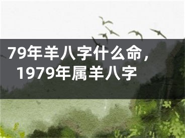 79年羊八字什么命，1979年属羊八字