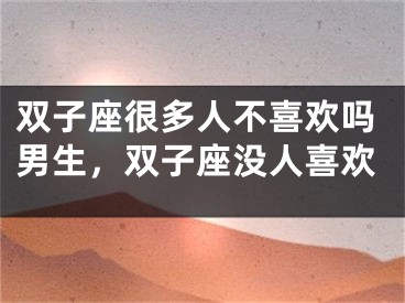 双子座很多人不喜欢吗男生，双子座没人喜欢