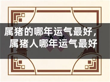 属猪的哪年运气最好，属猪人哪年运气最好