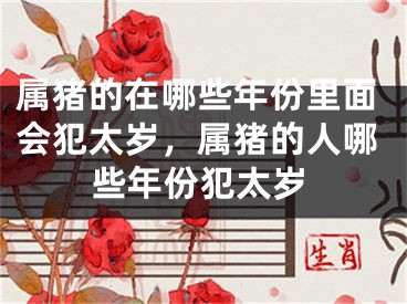 属猪的在哪些年份里面会犯太岁，属猪的人哪些年份犯太岁