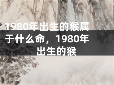 1980年出生的猴属于什么命，1980年出生的猴