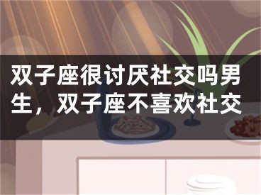 双子座很讨厌社交吗男生,双子座不喜欢社交