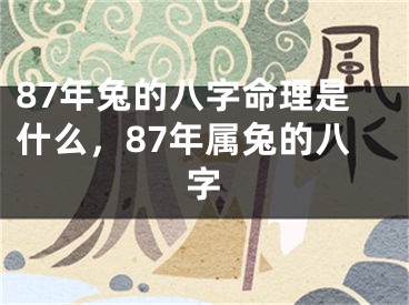 87年兔的八字命理是什么，87年属兔的八字