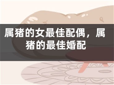 属猪的女最佳配偶，属猪的最佳婚配