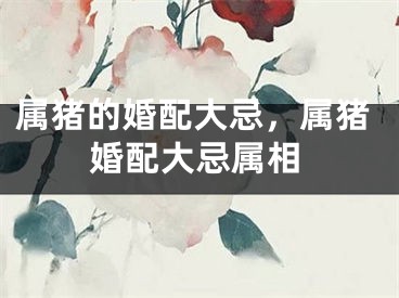 属猪的婚配大忌，属猪婚配大忌属相
