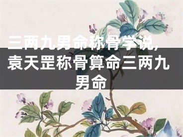 三两九男命称骨学说,袁天罡称骨算命三两九男命