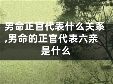 男命正官代表什么关系,男命的正官代表六亲是什么