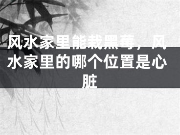 风水家里能栽黑莓，风水家里的哪个位置是心脏