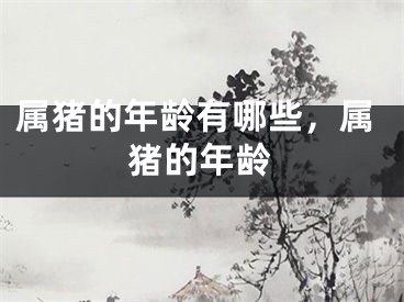 属猪的年龄有哪些，属猪的年龄