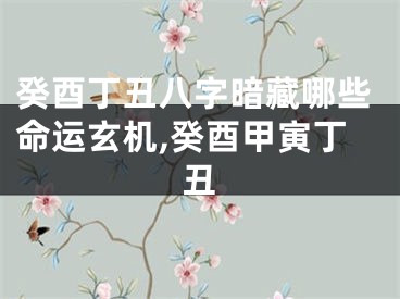 癸酉丁丑八字暗藏哪些命运玄机,癸酉甲寅丁丑