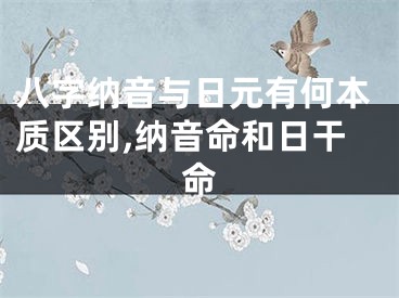 八字纳音与日元有何本质区别,纳音命和日干命