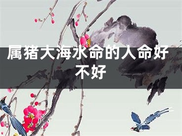 属猪大海水命的人命好不好