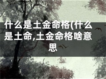 什么是土金命格(什么是土命,土金命格啥意思