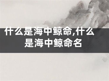 什么是海中鲸命,什么是海中鲸命名