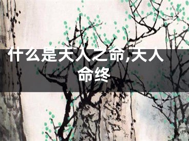 什么是天人之命,天人命终