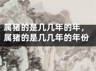 属猪的是几几年的年，属猪的是几几年的年份