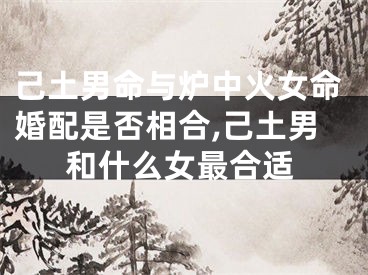 己土男命与炉中火女命婚配是否相合,己土男和什么女最合适